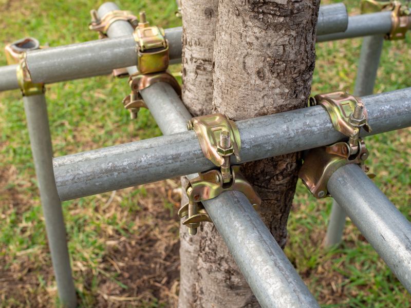 Top Rated Products for Tree Straightening