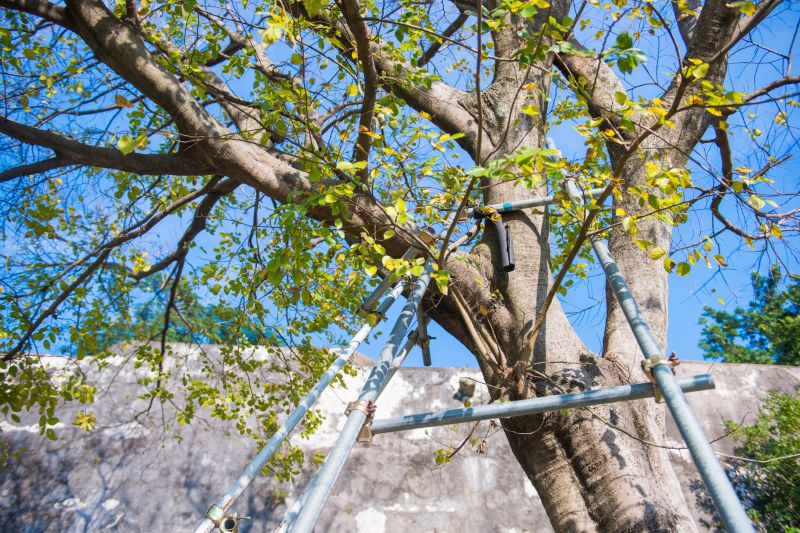 Post-Treatment Monitoring