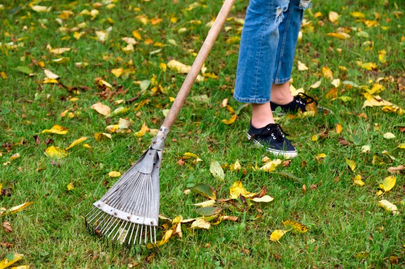 Autumn Lawn Maintenance Tools