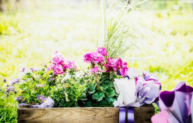 Flower Landscaping in Ventura County, CA