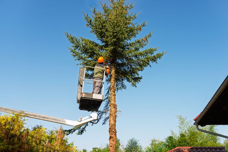 Tree Straightening