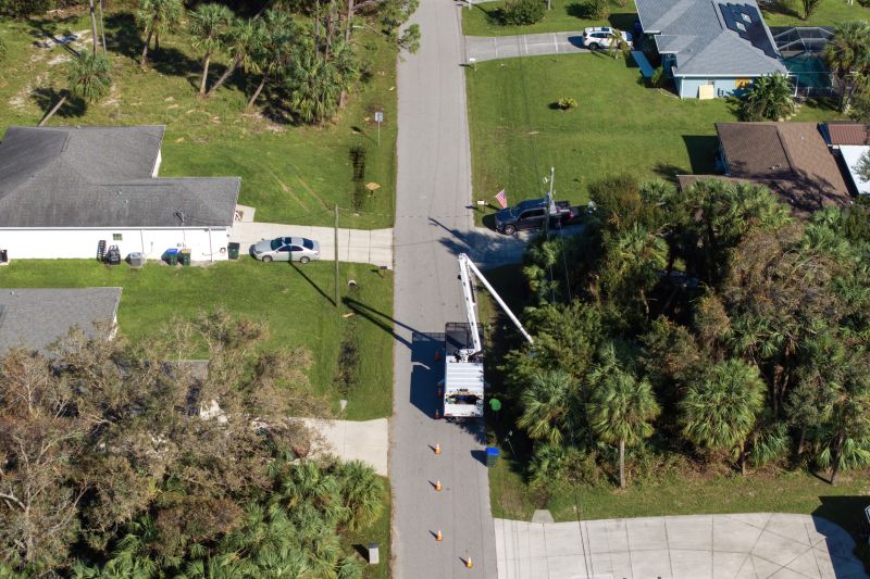 Fall Tree Straightening