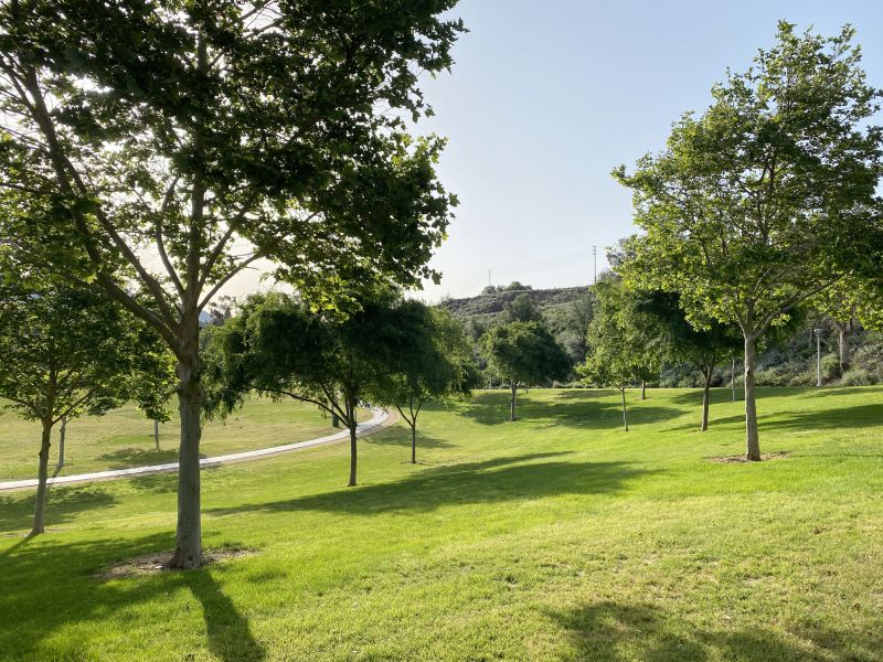 Space-Smart Ideas — Advanced